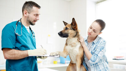 Pet Ownership Boomed During the Pandemic — See How Additional Funding Helps Your Veterinary Practice Grow | US Medical Funding