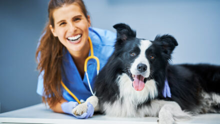 How to Expand a Veterinary Practice | US Medical Funding